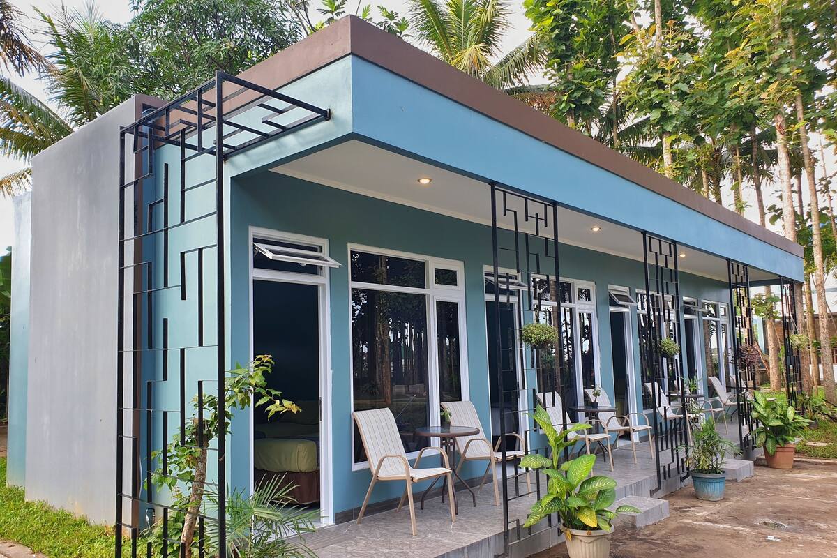 Superior Room | Terrace/patio