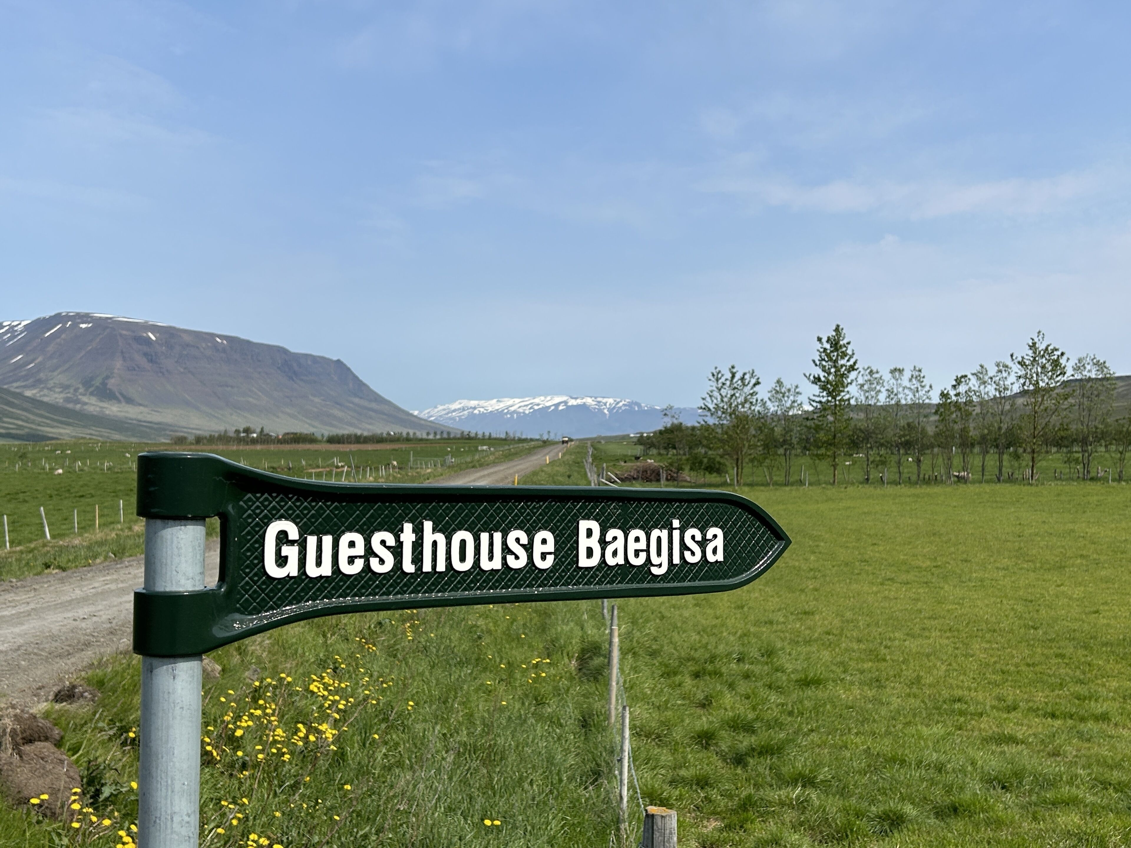 Un cartel que indica 'Guesthouse Baegisa' en un entorno rural, con una montaña al fondo.