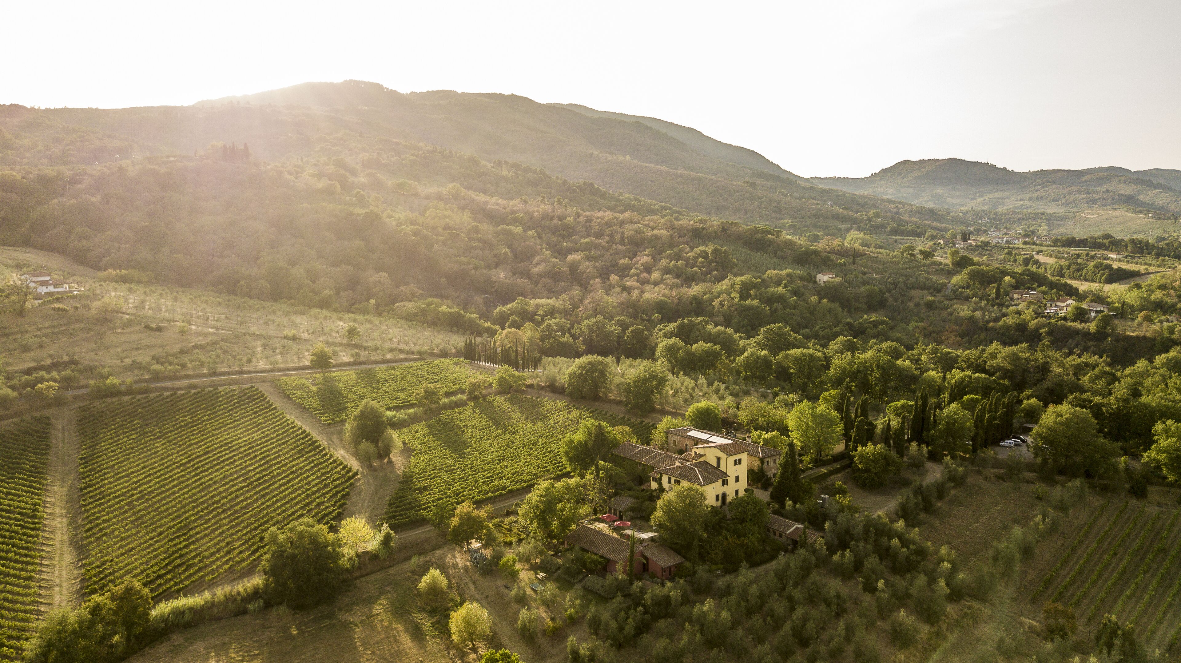 Eine Vogelperspektive auf eine ländliche Landschaft mit Weinbergen, verstreuten Häusern und sanften Hügeln.