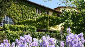 Un bâtiment dont les murs sont recouverts de lierre et un jardin où poussent des fleurs violettes.