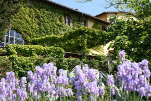 Un edificio con muros cubiertos de hiedra y un jardín con flores moradas.