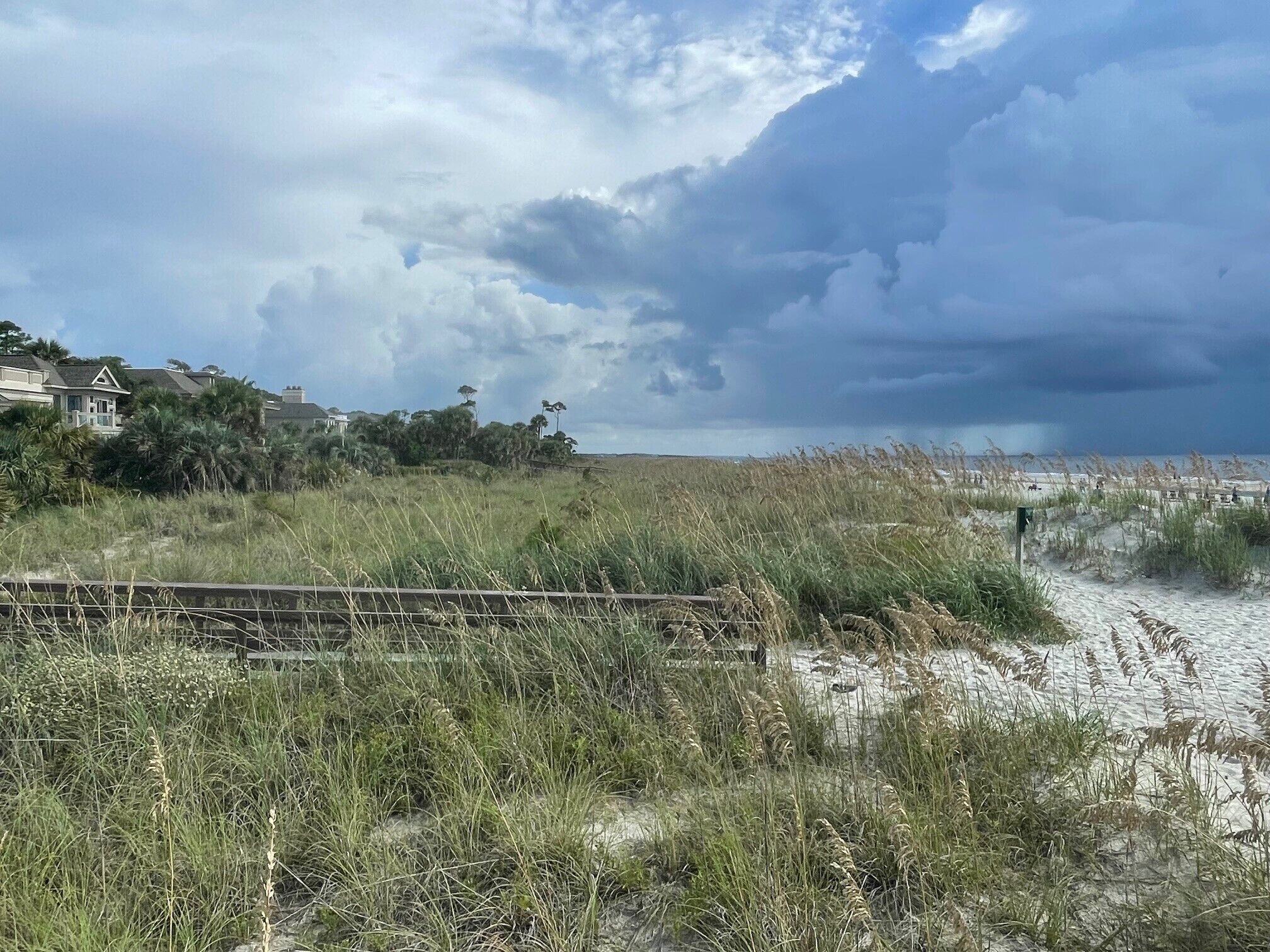 A beach with a fence, grassy dunes, and houses in the background.