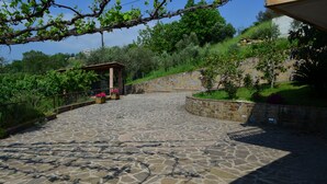 Courtyard - B&B Le Cicale (Agropoli)