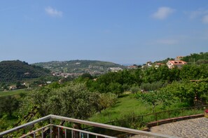 Panoramic Villa, 3 Bedrooms, Terrace, Tower | View from room