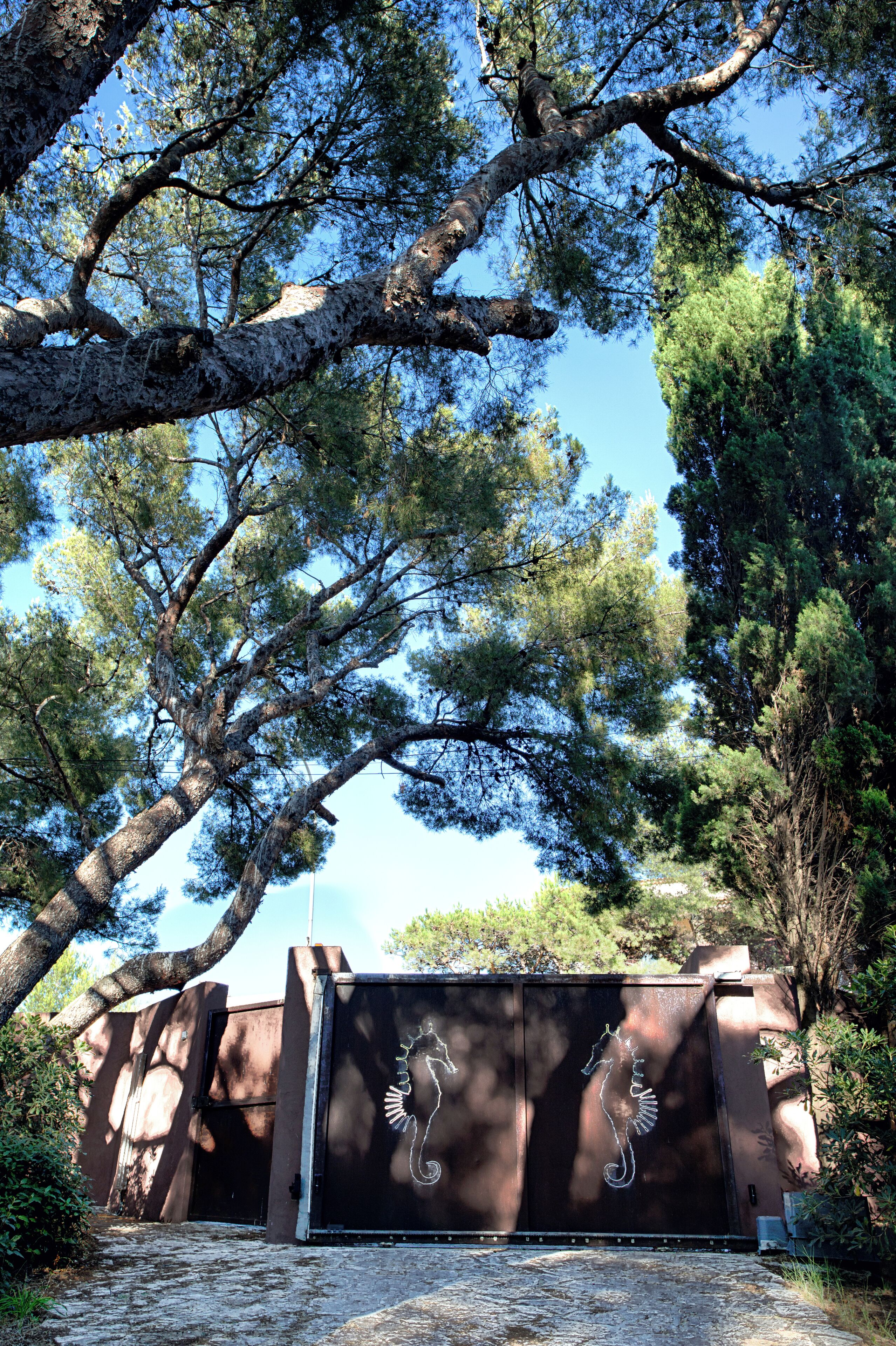 Photo - Villa Hippocampe