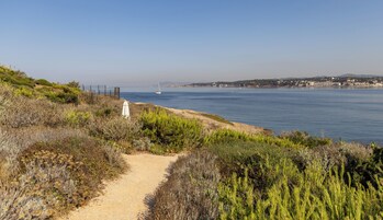 Un sentier côtier bordé d’un parasol blanc, qui mène à une plage où l’on aperçoit un voilier au loin.