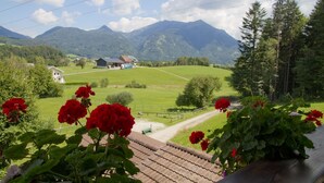 A view of a rural landscape with mountains, a road, and houses.