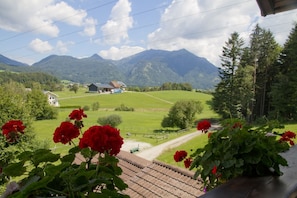 A view of a rural landscape with mountains, a road, and houses.