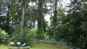 A wooded area with a wooden fence, a swing set, and a bench.