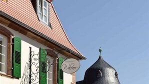 A building with green shutters, a sign reading "Hotel", and a distinctive black dome. - Schlosshotel Bergzaberner Hof (Bad Bergzabern)