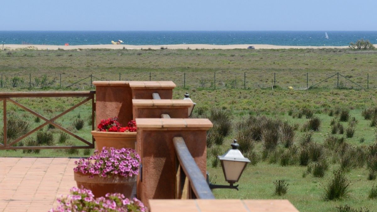 Eine Terrasse mit Blick auf den Strand, inklusive Geländer, Kübelpflanzen und einer Straßenlaterne.