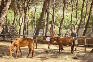 Un espacio al aire libre rodeado por una cerca, con caballos y visitantes.