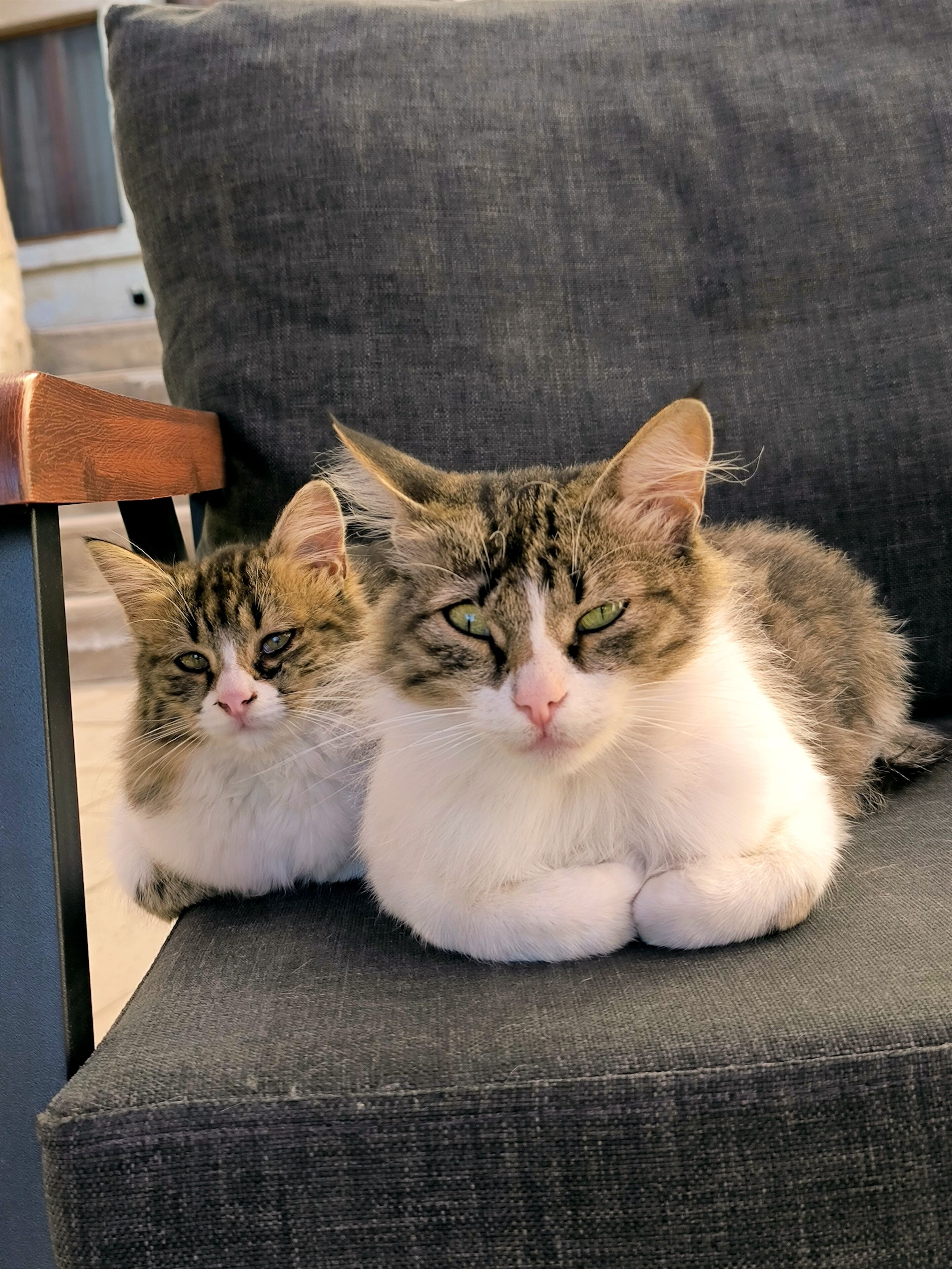 Foto - Karadut Cave Hotel