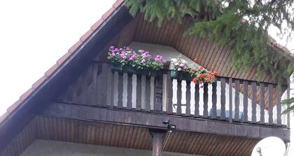 Zur Schmiede