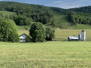 Terrain de l’hébergement 