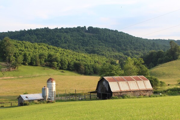 A rural barn and silo in a green field with a forested hill in the background.