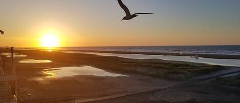 On the beach, sun loungers