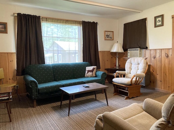 TV, fireplace, DVD player, books - 2 Bedroom Lakeside Cabin-Family Fishing Resort-Hayward WI-Chippewa Flowage (Hayward)