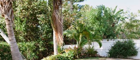 Una piscina al aire libre, una piscina climatizada