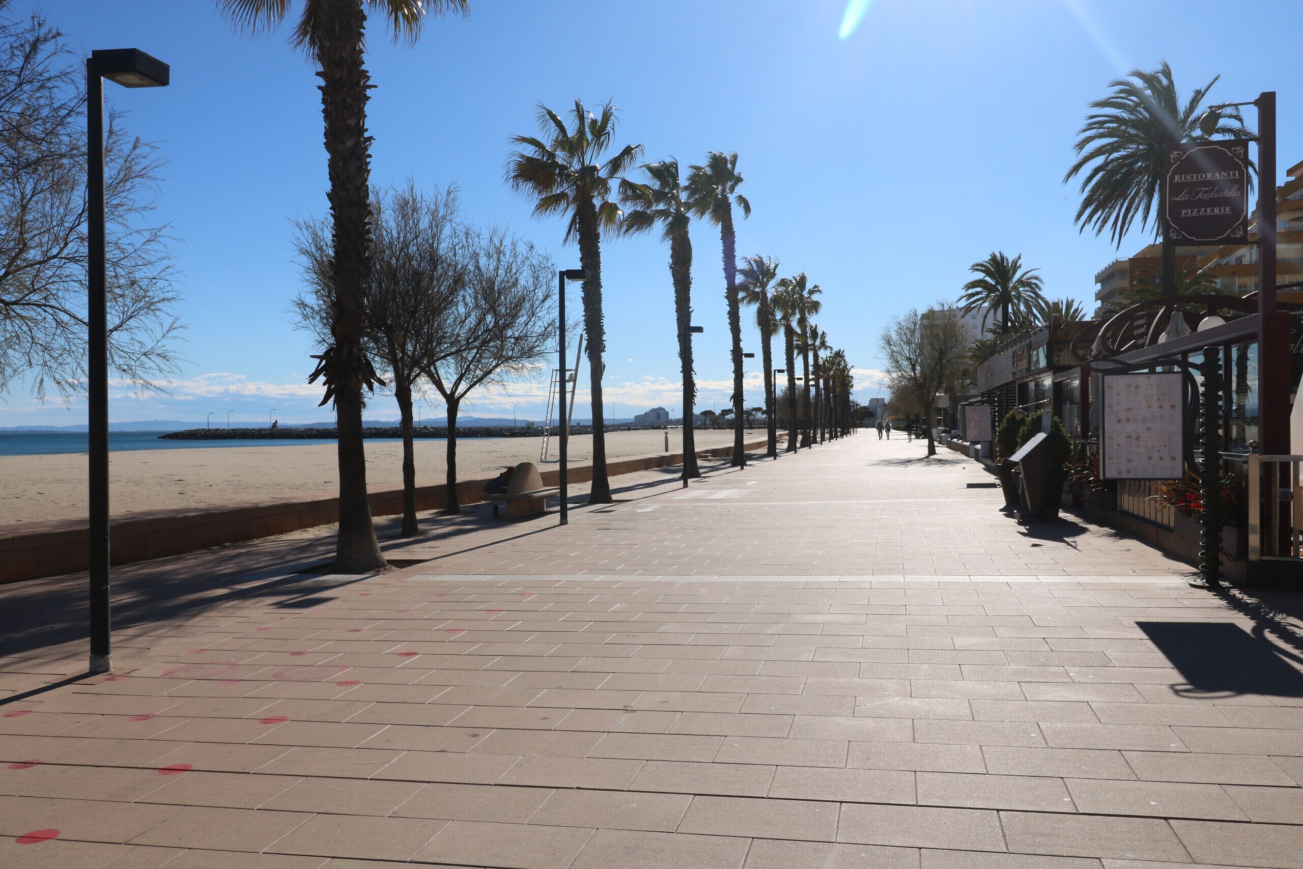 Un sendero pavimentado bordeado de palmeras y una playa al fondo.