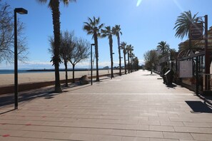 A paved walkway lined with palm trees and a beach in the background.