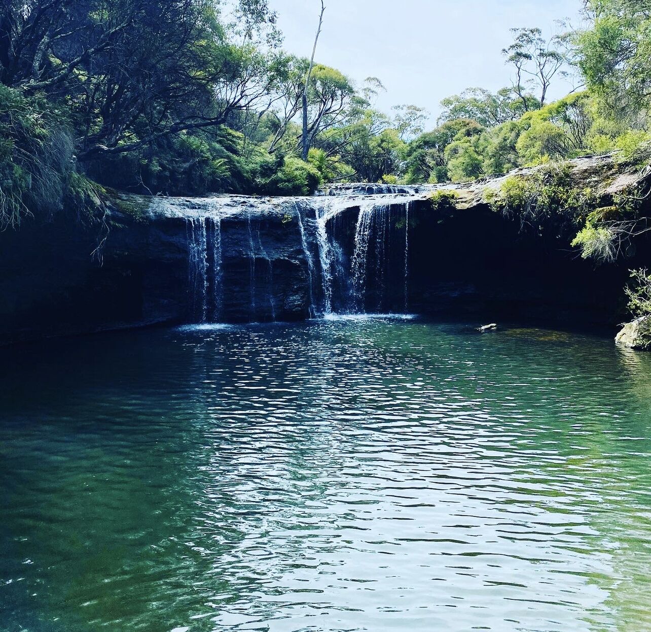 A waterfall cascading into a clear pool surrounded by lush greenery.