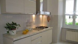 A modern kitchen with a gas stove, a blender, and a potted plant.