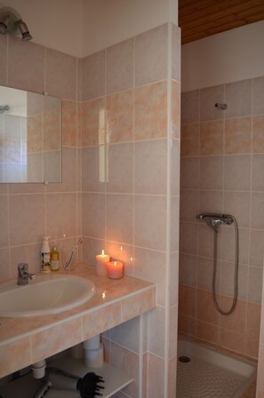 Regadera, secadora de cabello, jabón, papel de baño 