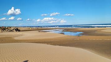 Plage à proximité, serviettes de plage