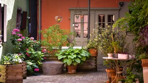 Een binnentuin met plantenpotten, een houten bank en een hanglamp.