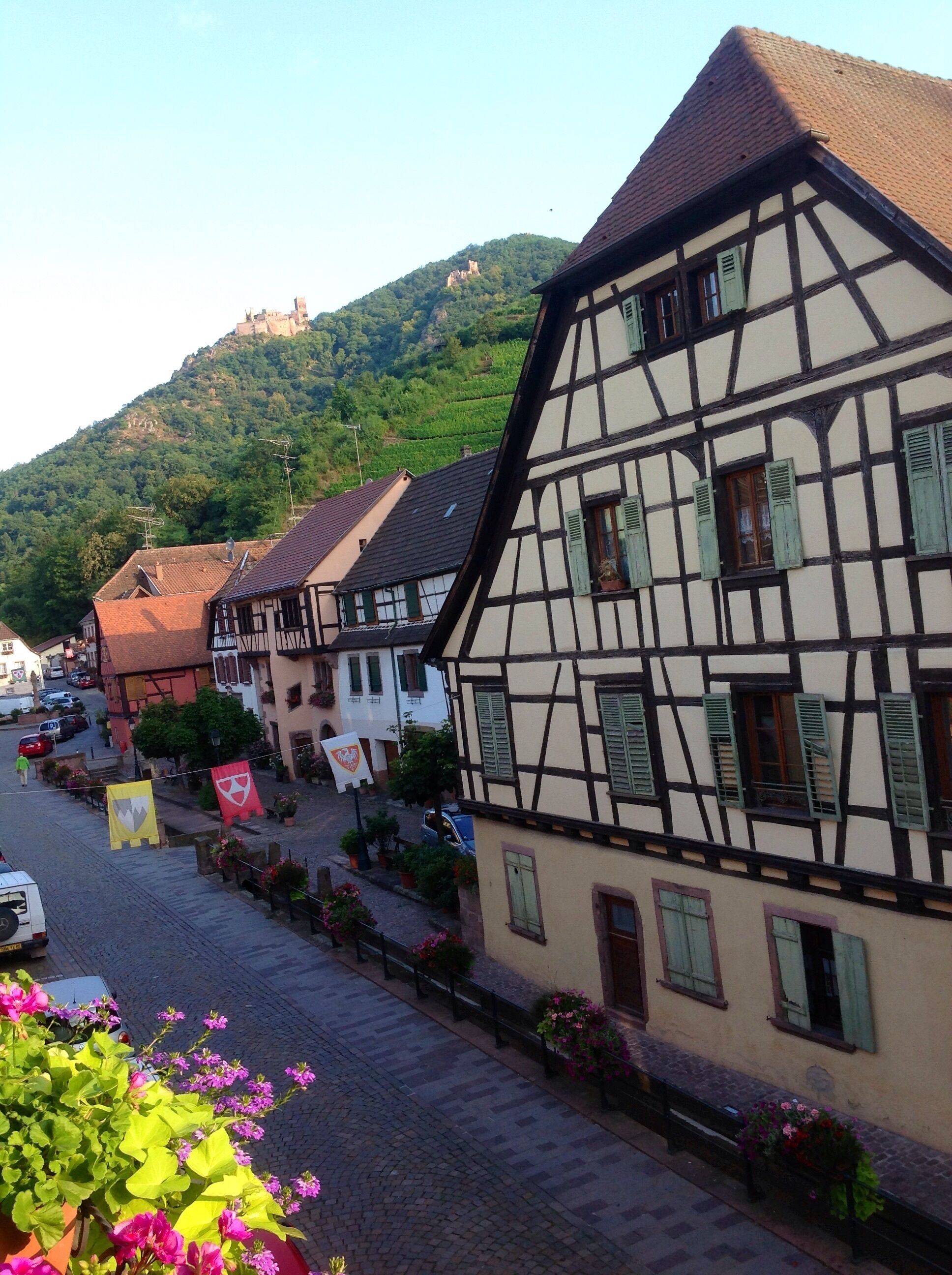 A traditional half-timbered building with a sloped roof, a cobblestone street, and a mountain in the background.