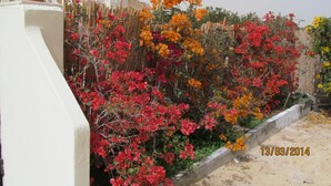 Property grounds - A Beautiful, Family-owned Penthouse Apartment, Overlooking the Red Sea Hurghada (Qesm Hurghada)