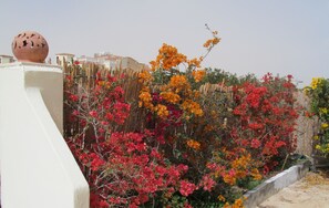A garden with flowering plants and a white wall. - A Beautiful, Family-owned Penthouse Apartment, Overlooking the Red Sea Hurghada (Qesm Hurghada)