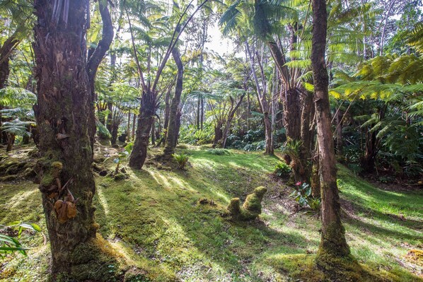 Jardines del alojamiento