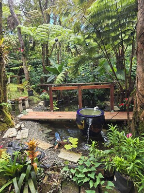 Un jardin avec un étang, un pont en bois et diverses plantes.