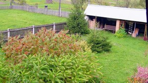 Un paysage rural avec une zone délimitée par une clôture, un petit bâtiment doté d’un toit en tôle ondulée, et une variété de végétation comprenant des fougères et des plantes à fleurs.