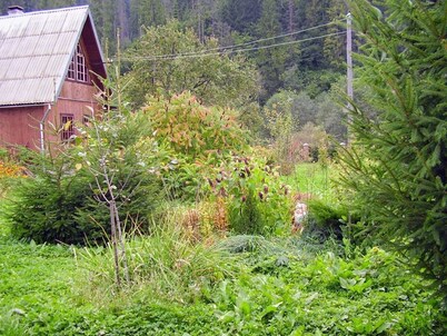 Green tourism