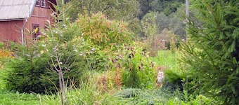 Green tourism