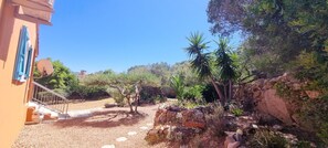 Un pati amb una paret de pedra, una palmera i un edifici amb persianes blaves.