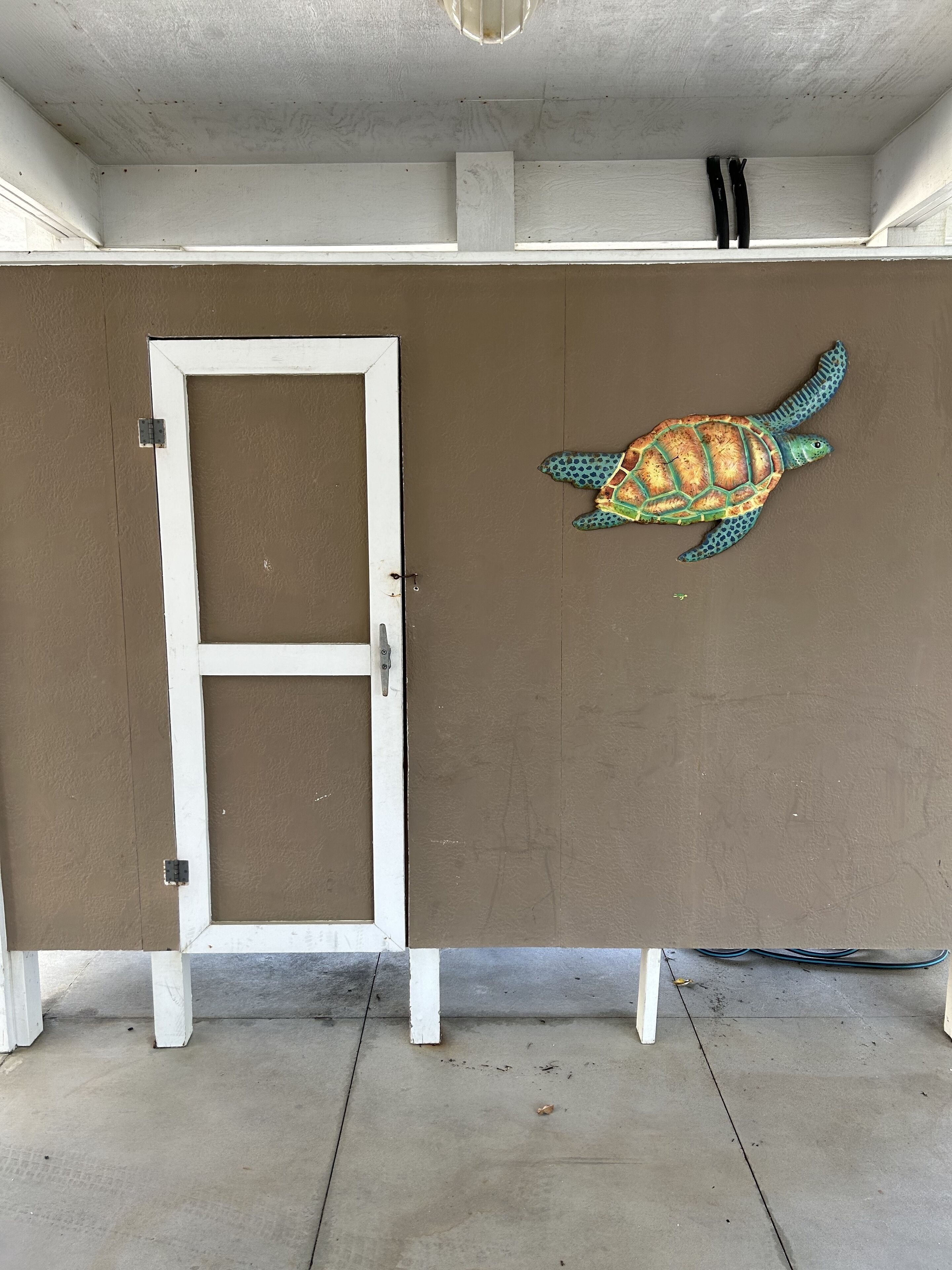 Eine Tür mit weißem Rahmen, ein Betonboden und eine Wand mit einem Wandgemälde von einer Schildkröte.