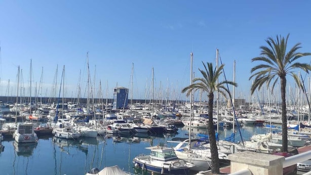 A marina filled with numerous boats and palm trees. - Blau Masnou (El Masnou)