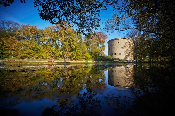 Unclassified image, 1 of 29, button