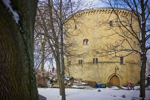 Unclassified image, 3 of 29, button