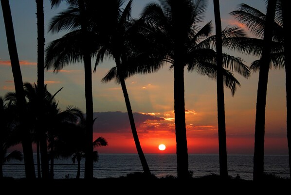 A sunset over the ocean with palm trees silhouetted against the sky. - RARE, GATED, PRIVATE BEACHFRONT HOME! PRIVATE POOL, 6 BEDS 6 BATHS (Kihei)