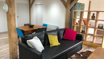 Télévision, cheminée, lecteur de DVD