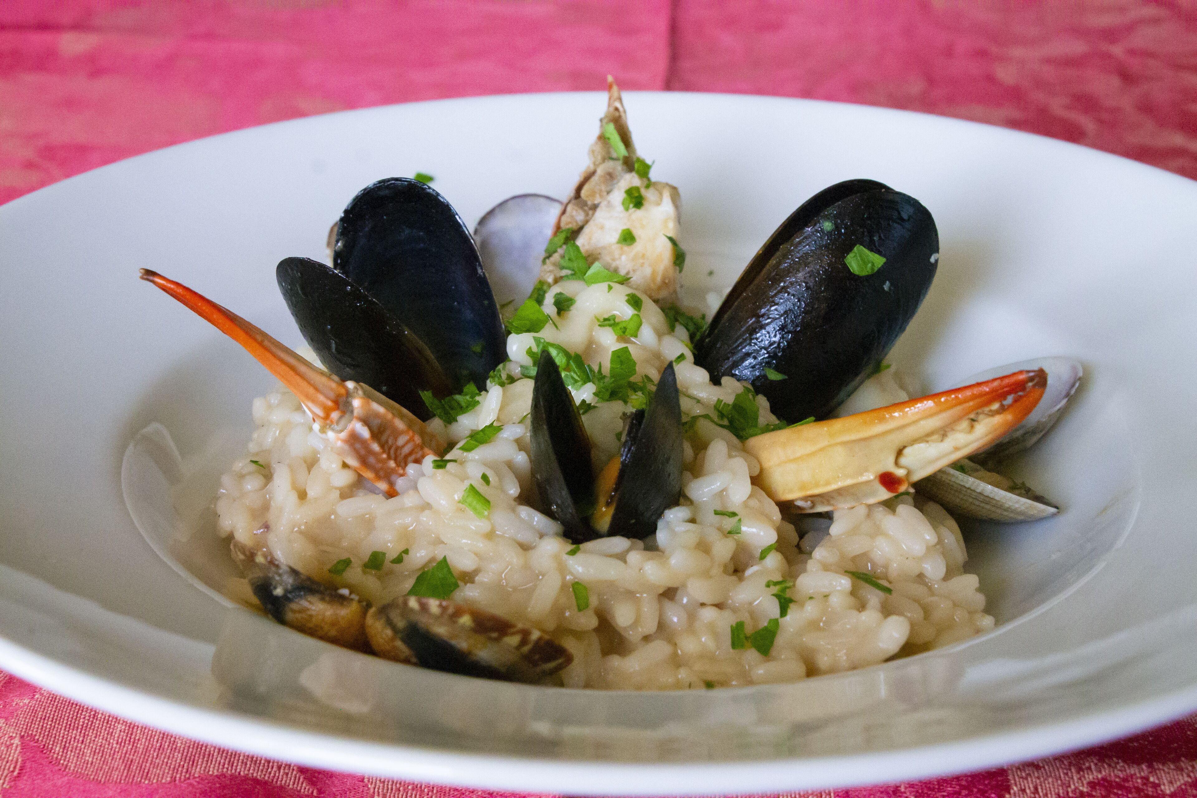 Foto - Hotel L'Ancora