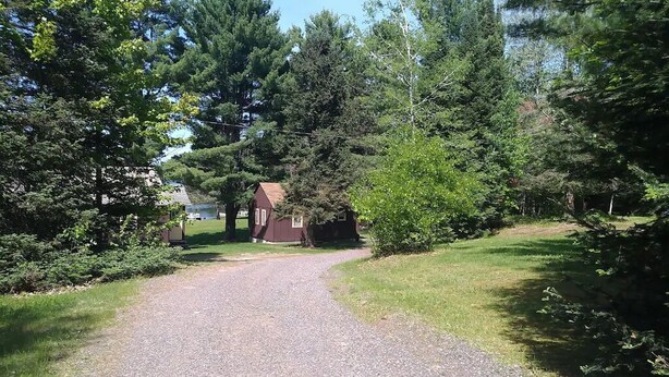 A gravel driveway leading to a small, single-story building surrounded by dense trees and greenery. - Comfortable 3 Bedroom Cabin On the Shores of Lake Chippewa Flowage in Hayward WI (Hayward)