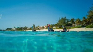 Een strandscène met helder turquoise water, palmbomen en enkele mensen die op het zand ontspannen.