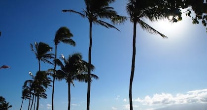 OCEANFRONT Spectacular 60 ft to the water, Recently Re-modeled! HDTV,WiFi,AC