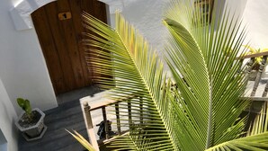 A courtyard with a wooden door, a potted plant, and a staircase. - Cafe Central (Mozambique Island)